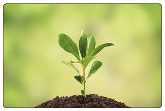 Garden Club/Zen-Den Volunteers NEEDED for 1st-3rd graders!