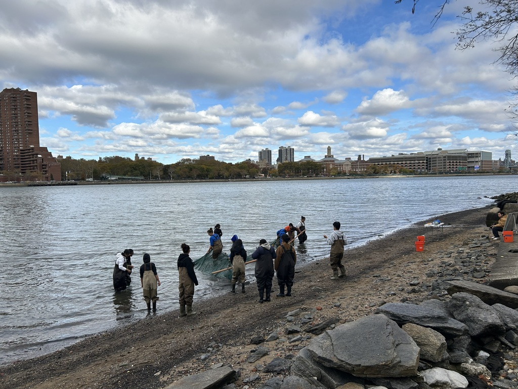 students in the water