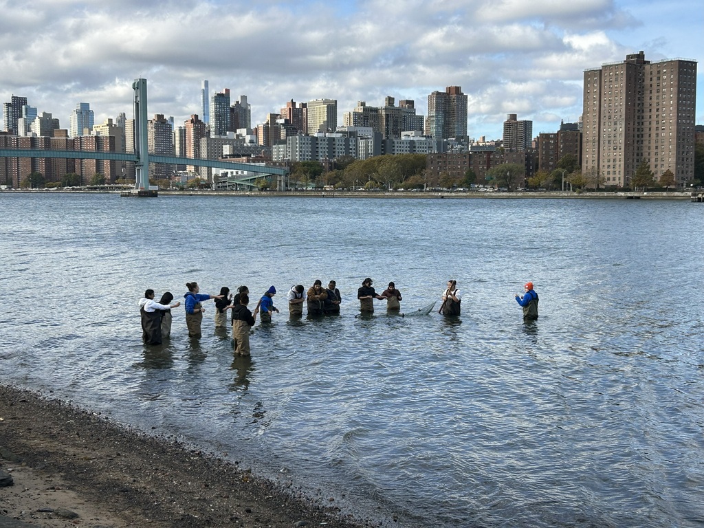 students in the water 2