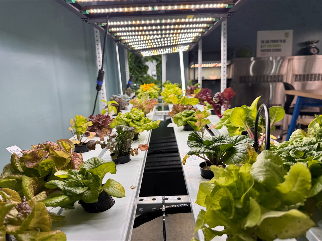 Hydroponics lab