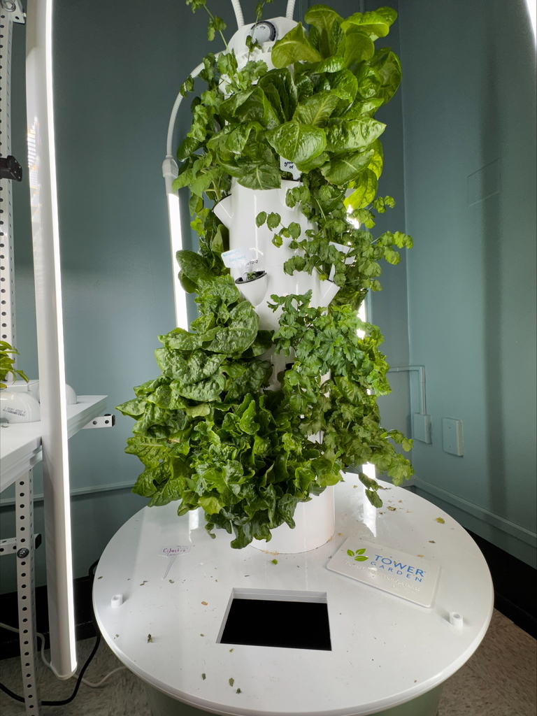 Hydroponics lab