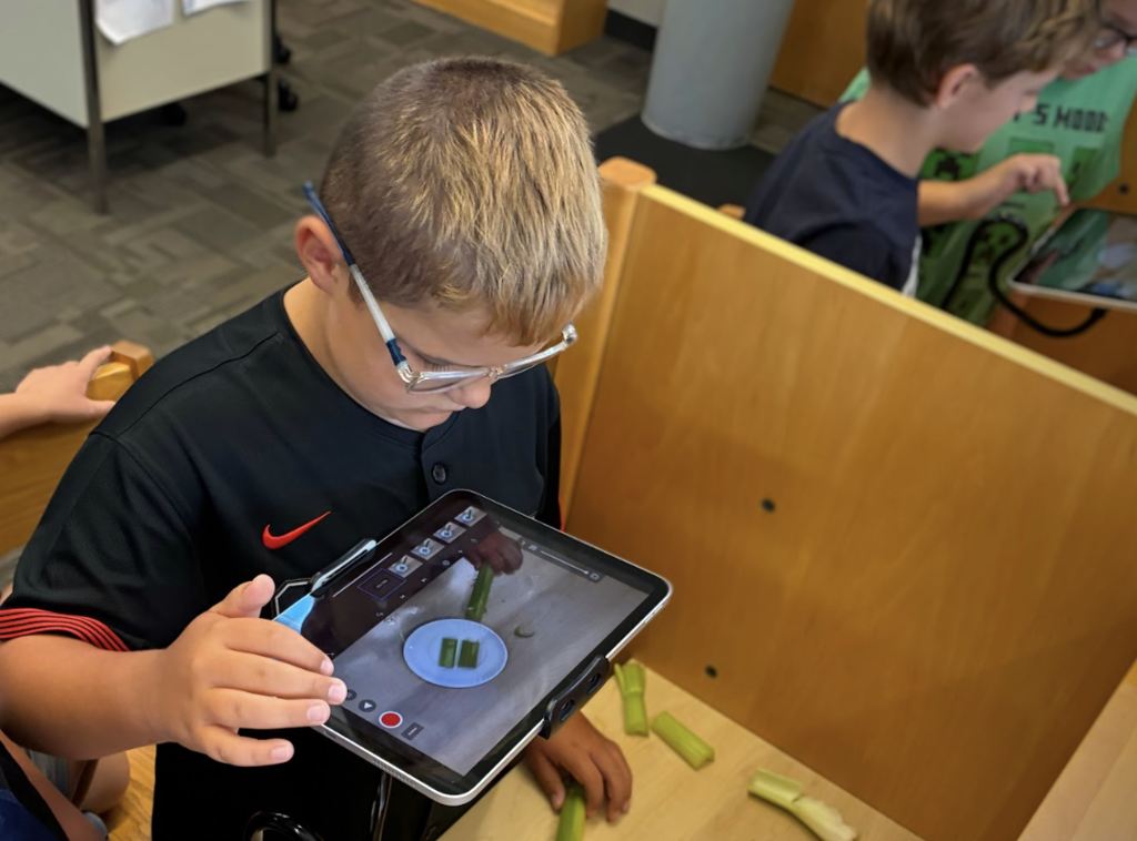 stemcamp