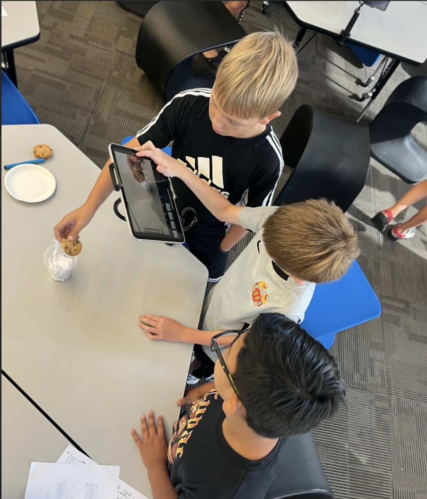 stemcamp