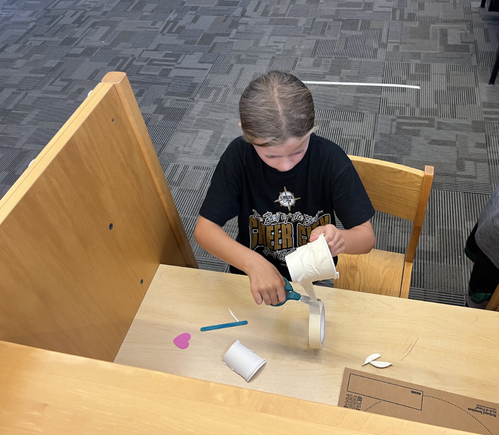 stemcamp