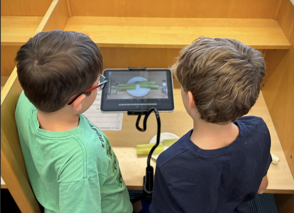stemcamp