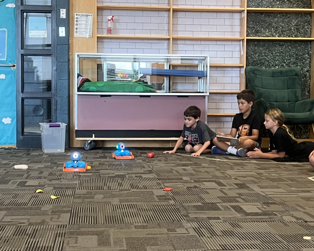 stemcamp