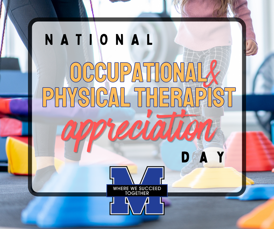 national occupational and physical therapist appreciation day