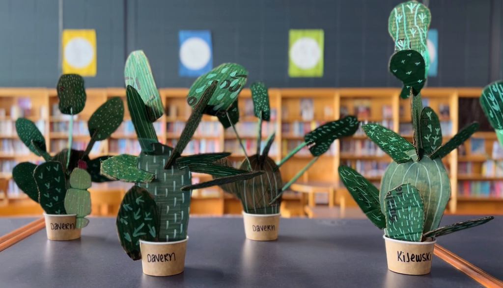 Four green cacti in small pots on a black table in a library with wooden shelves and colorful signs.