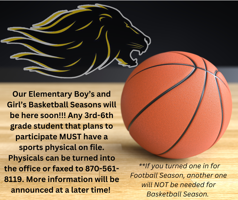 Basketball court background with basketball and yellow and black lion head with sports physical information. 