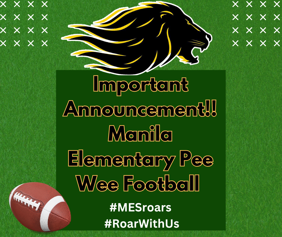 Football field background with football, and black and yellow lion head