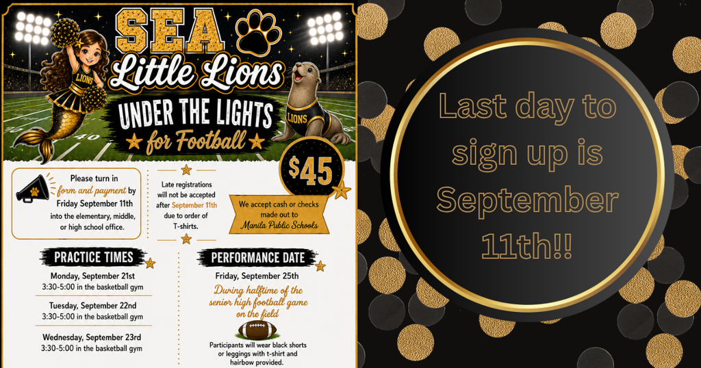 Black and gold confetti in the background with a large black and gold text circle . Black and gold mermaid cheerleader with pom poms and a seal with a lions jersey on under stadium football lights. 