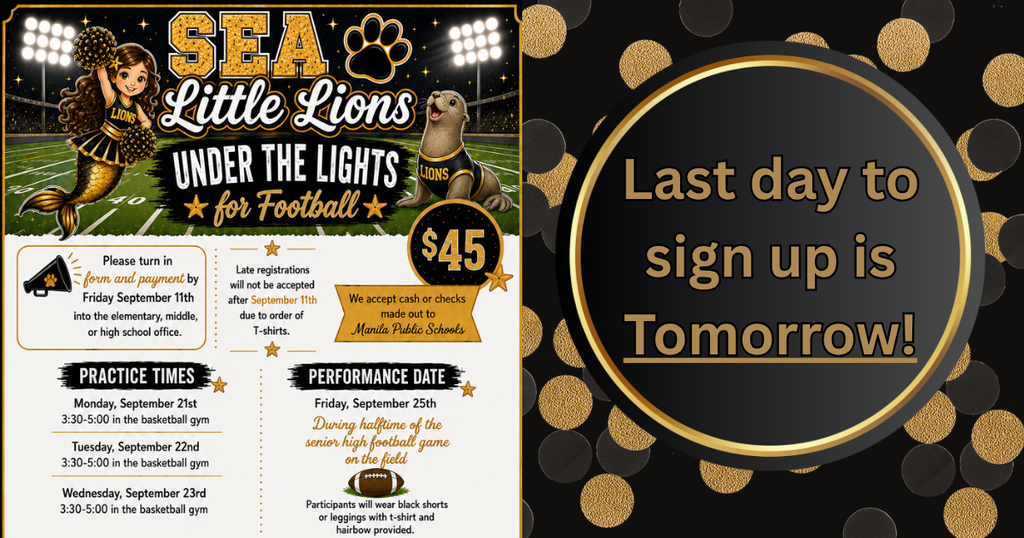 Black and gold confetti in the background with a large black and gold text circle . Black and gold mermaid cheerleader with pom poms and a seal with a lions jersey on under stadium football lights. 