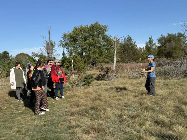 Students exploring a park