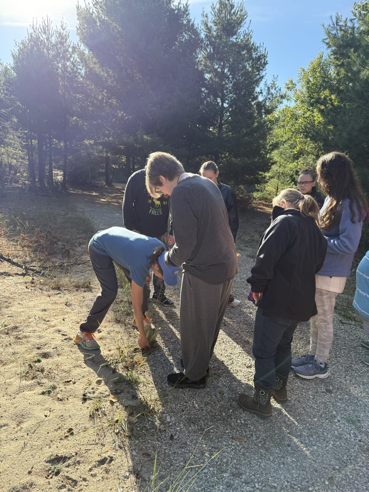 Students exploring a park
