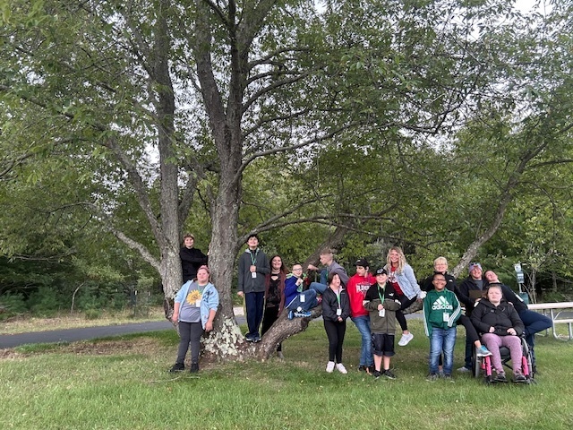 Group photo on a tree
