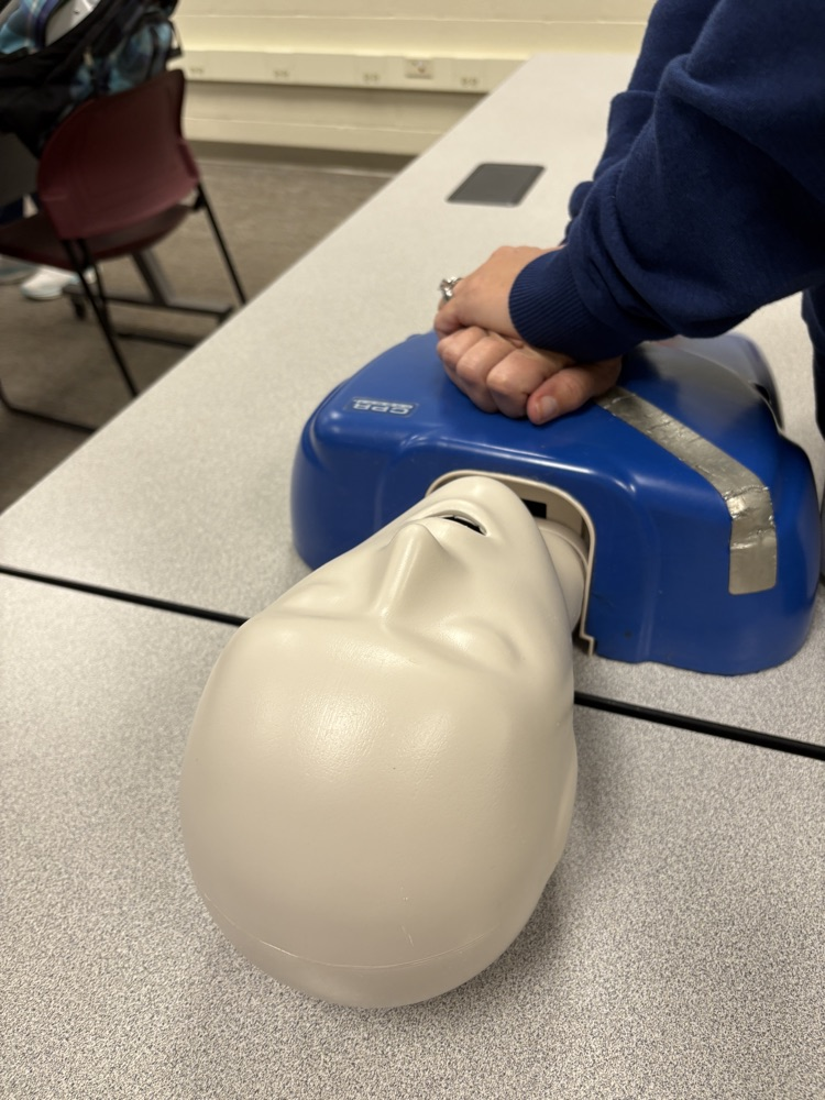 cpr dummy