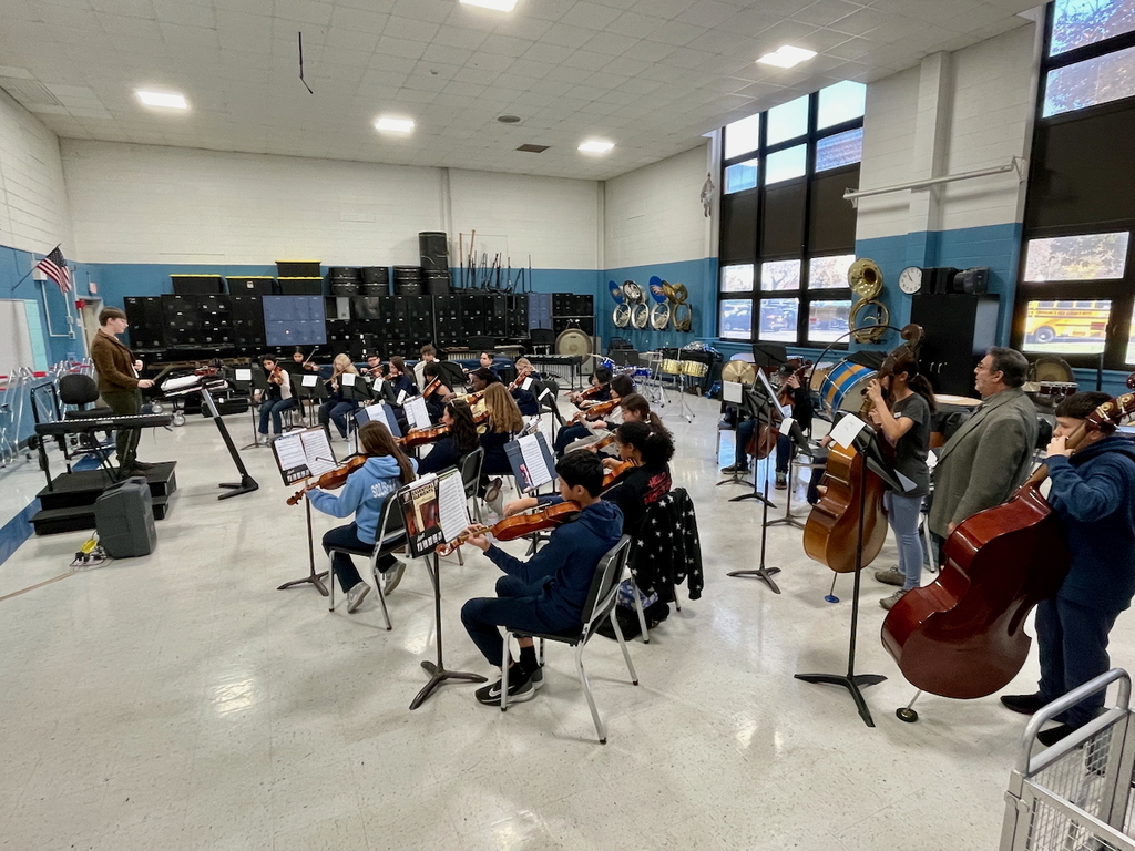 Chamber Orchestra