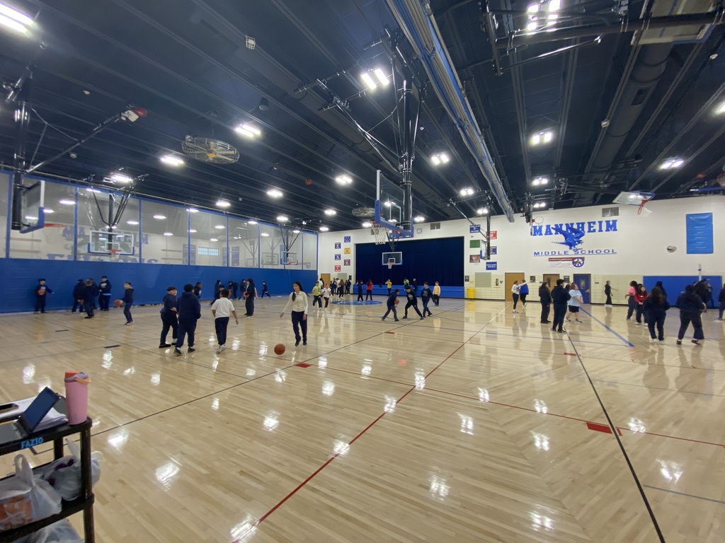 A wide-angle photo of the Mannheim Middle School gymnasium filled with students actively participating in physical education. Groups of students are playing basketball and dribbling across the wooden court, while others socialize and move through the space. The gym features bright overhead lighting, blue wall padding, and a large "MANNHEIM MIDDLE SCHOOL" graphic with a falcon mascot displayed on the far wall.