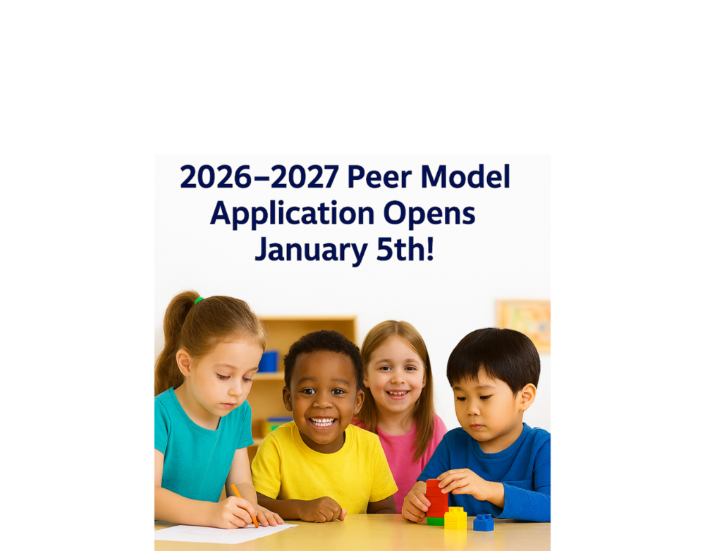 RG Peer Model Application Opens