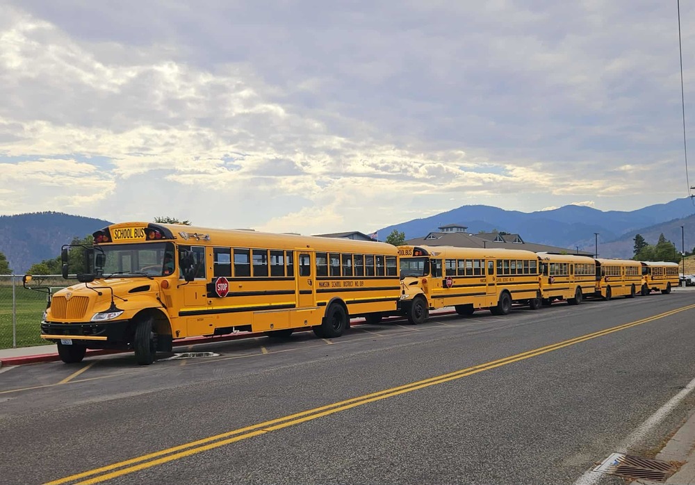 Yellow school busses