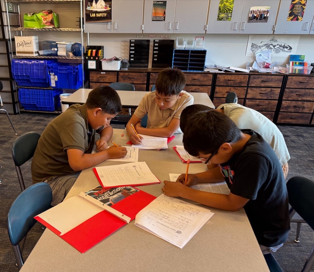 Four boys working on reading assignments.