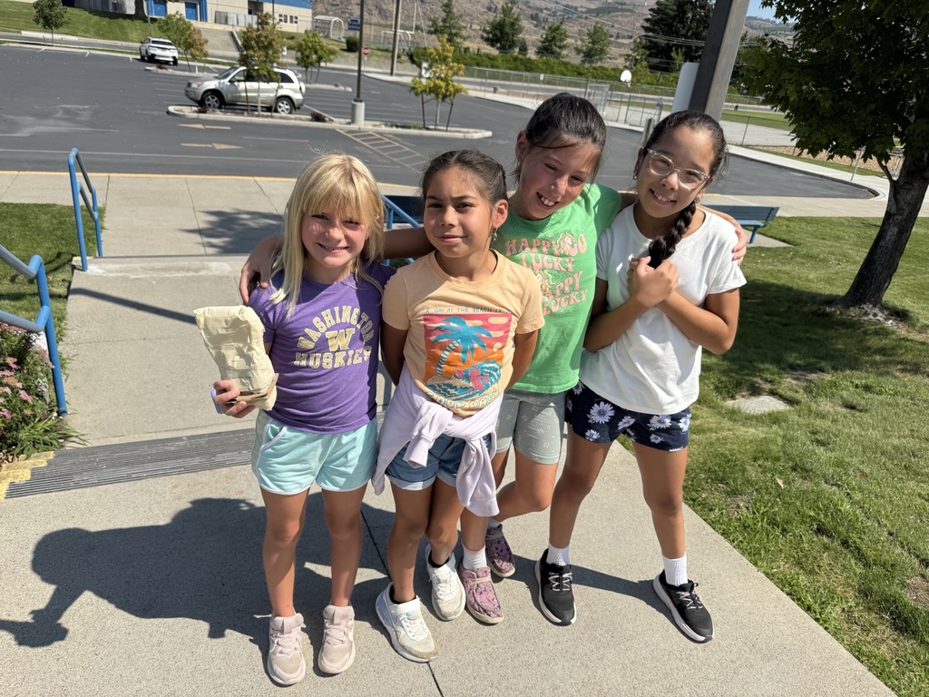 Egg drop competitors
