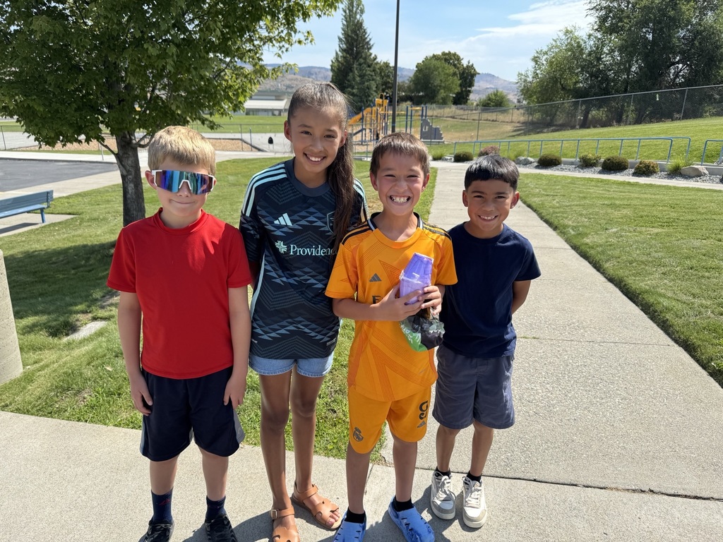 Egg drop competitors