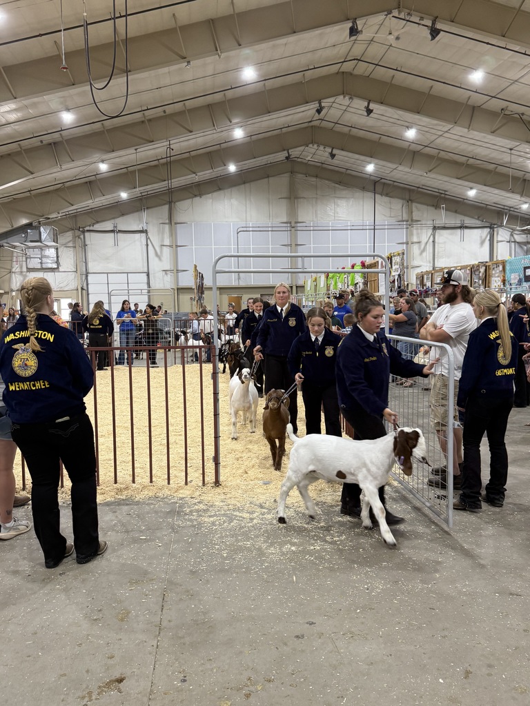 Goats parade out of the ring.