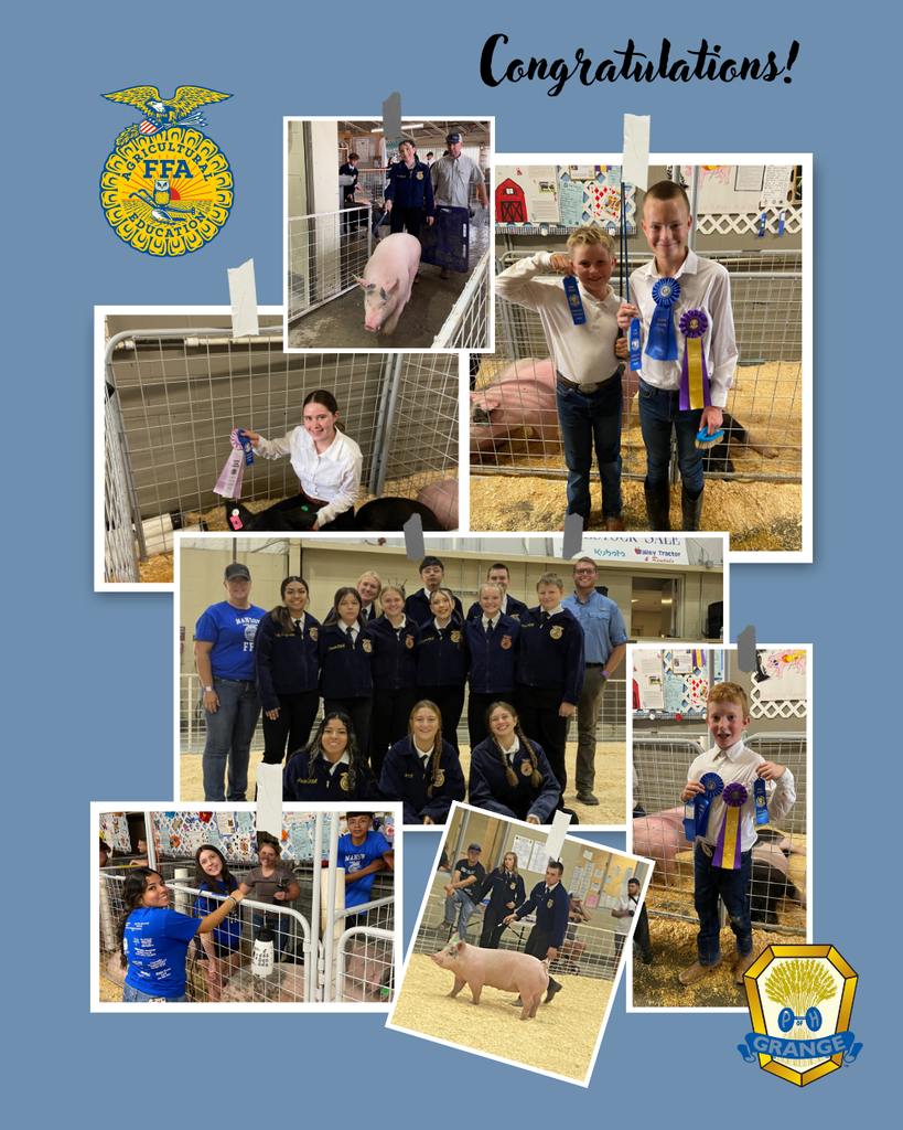 FFA and Grange winners