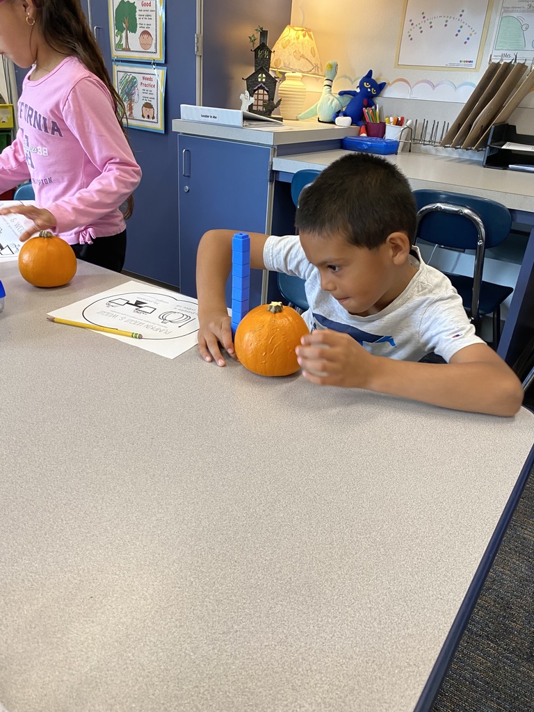 Boy measuring the height of a pumpkin with blocks.