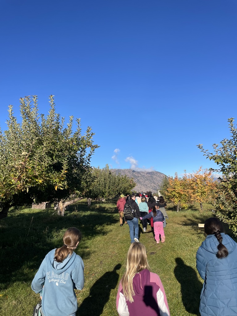 Students walk through the orchard.