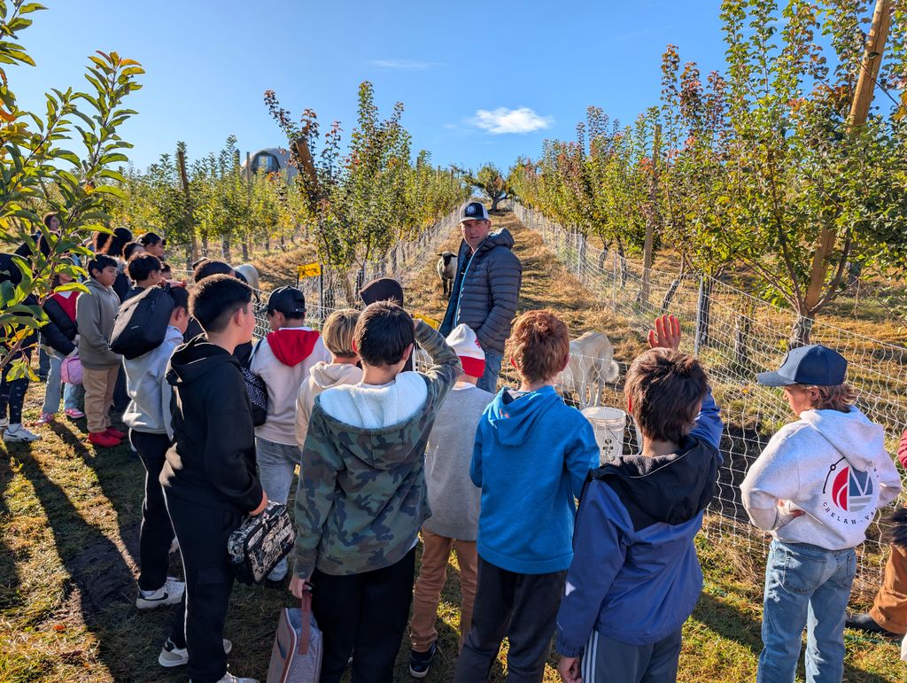 Students listening to a farmer talk about apples.