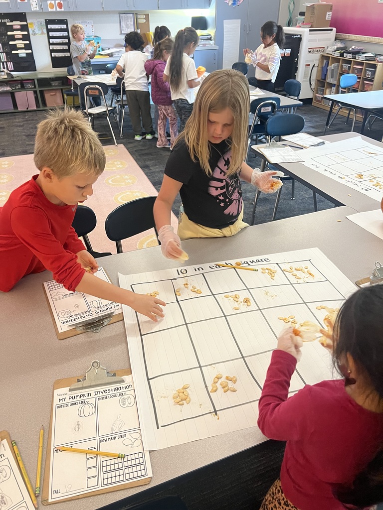 Students count pumpkins seeds by sorting them into groups of 10.