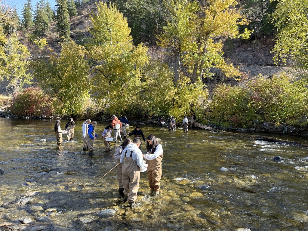 Manson students standing in the Entiat river to study fish.
