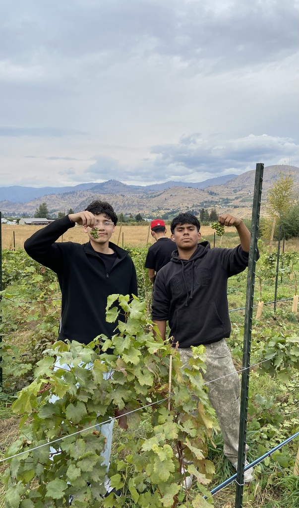 Two male students hold up grapes in the school vineyard.