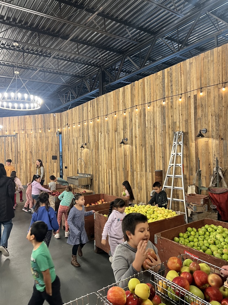 Students selecting apples to press.