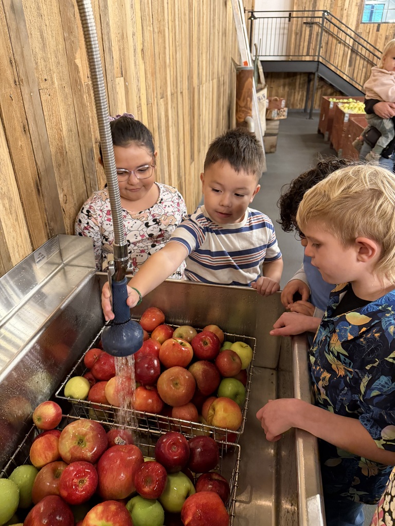 Students washing apples.