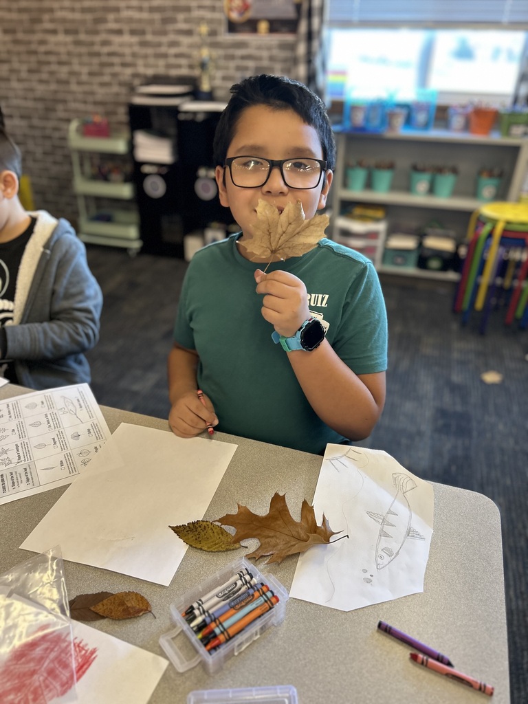 A boy hides behind a brown maple leaf.