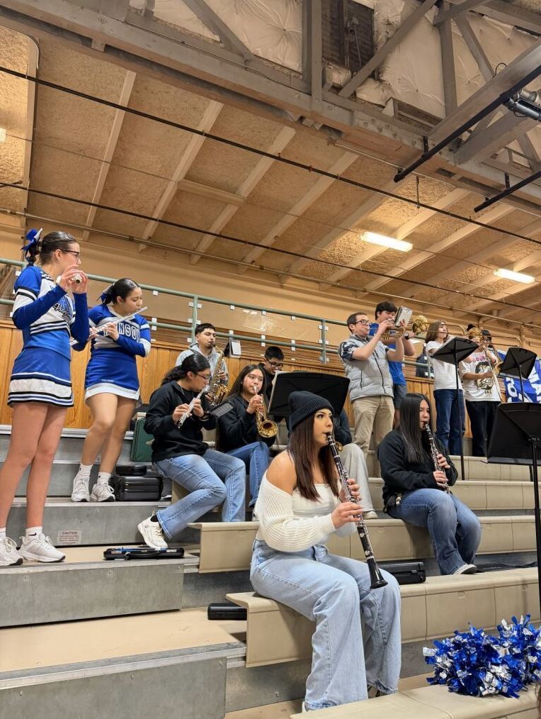 Pep band and cheer play together in the stands at a game.