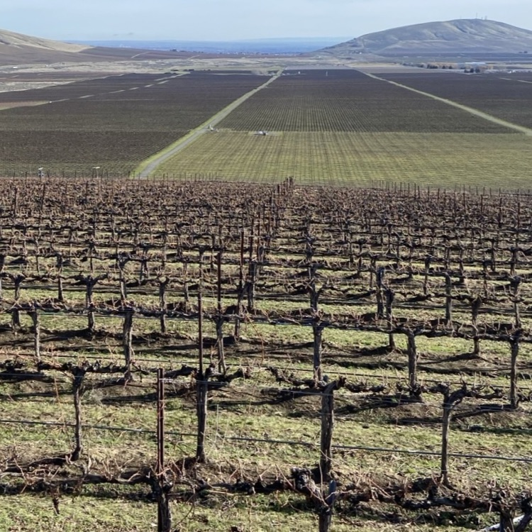 Ag Science field trip