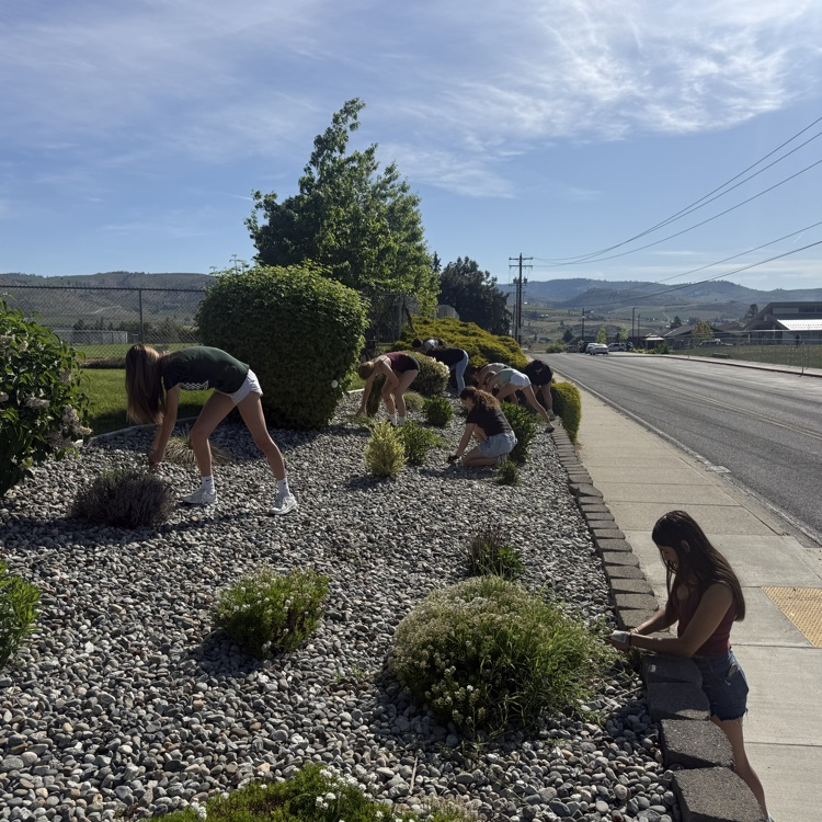 Community Clean-up