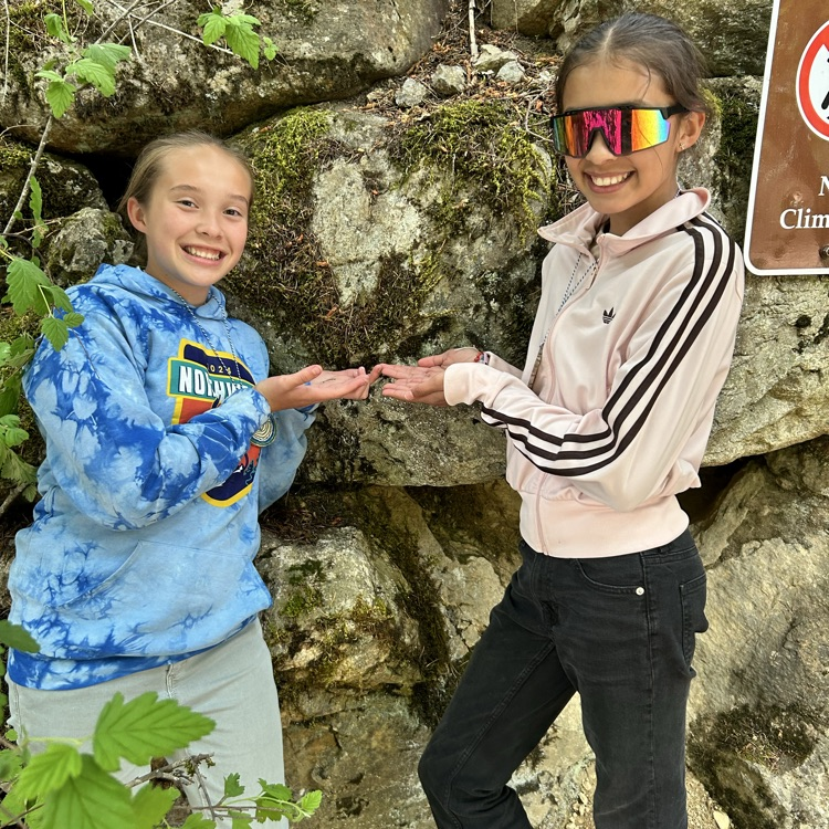 ms5