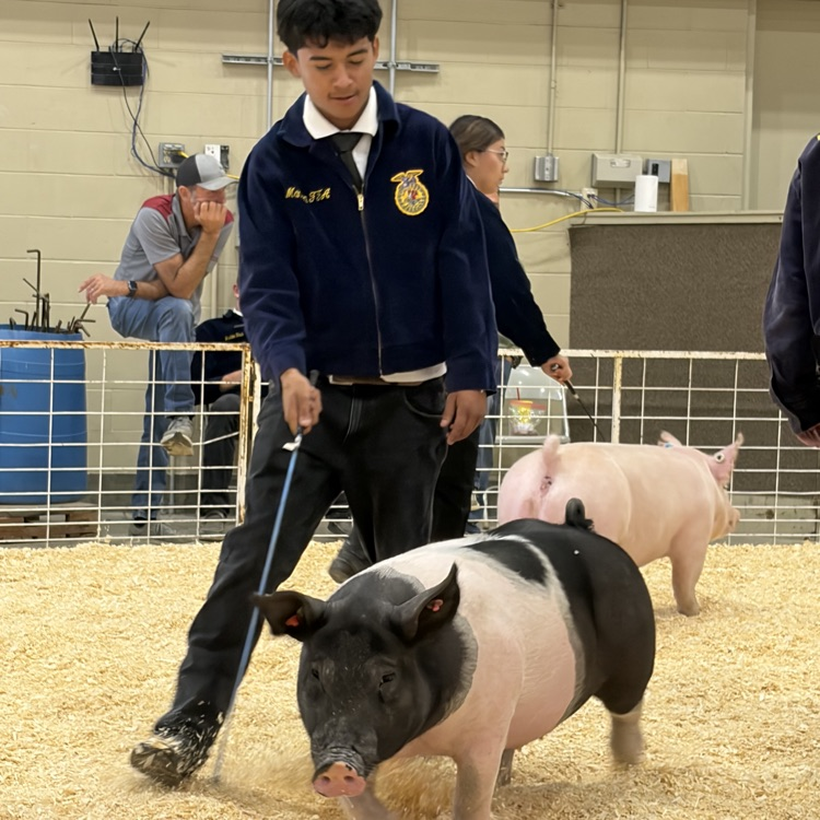 Manson FFA at Chelan County Fair