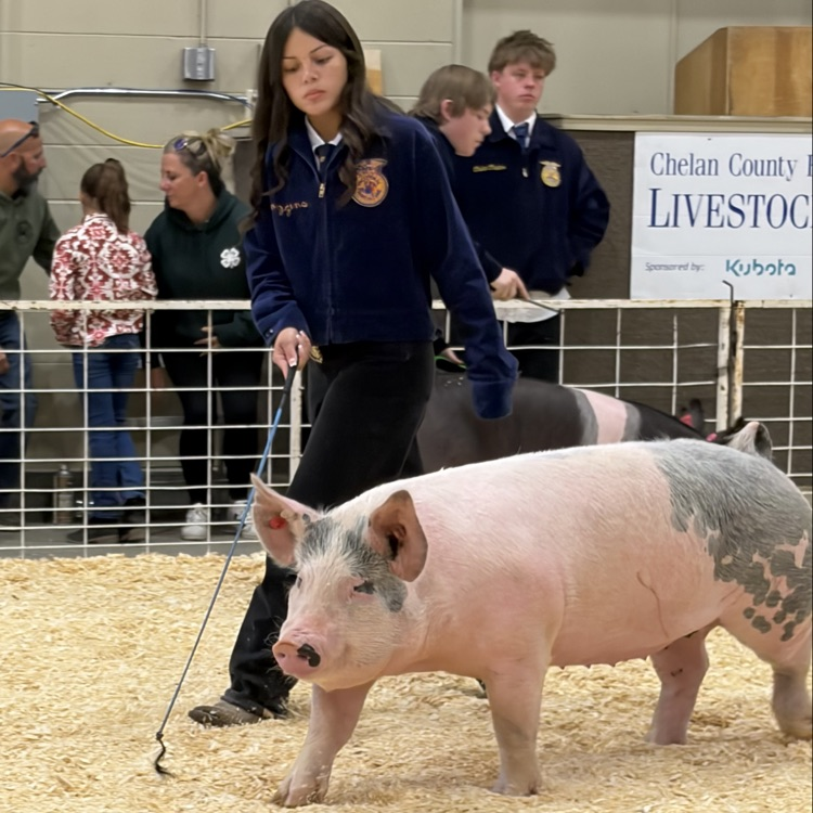 Manson FFA at Chelan County Fair