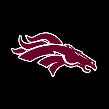 Black Mustang Logo
