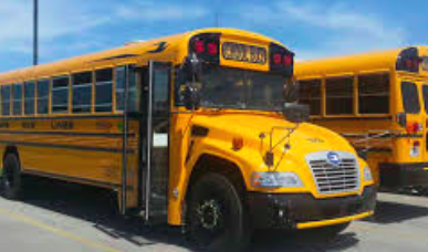 Bus