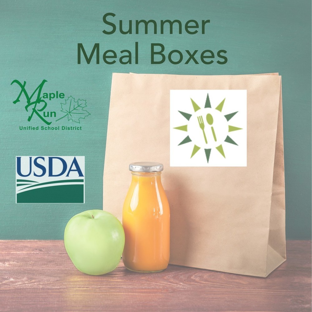 Summer Meal Boxes for Kids