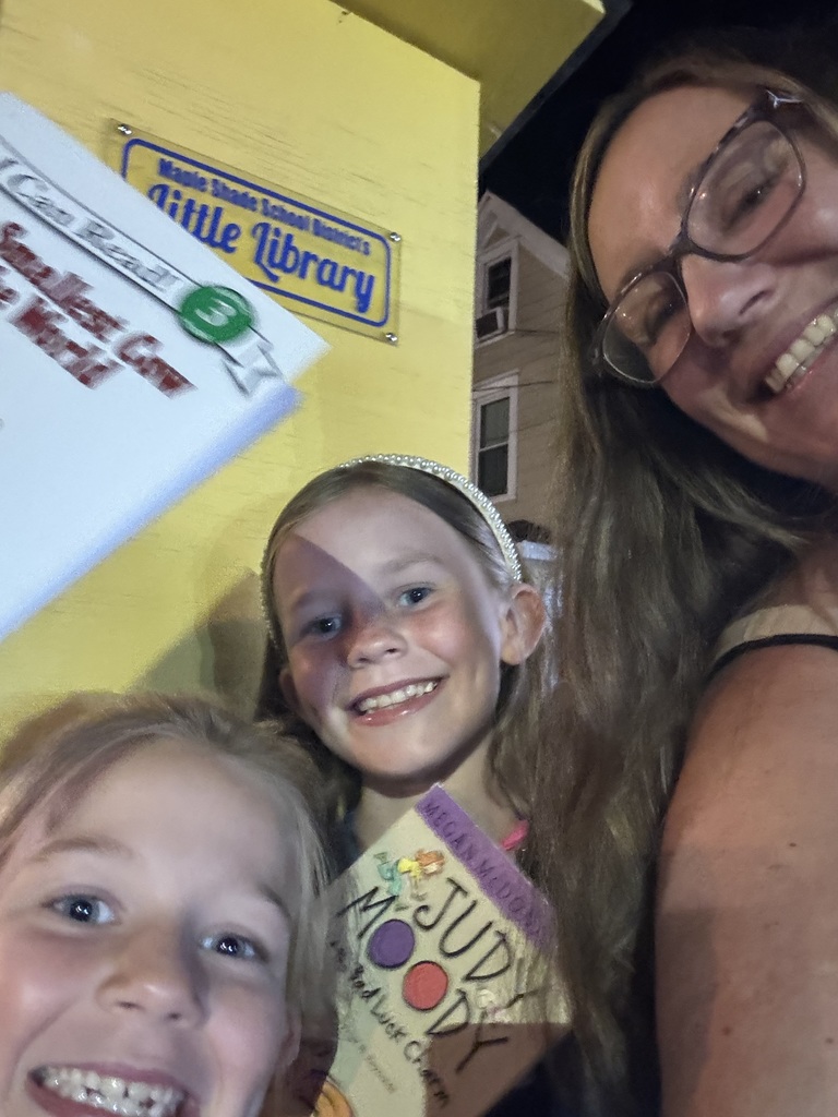 Little Library Fun!