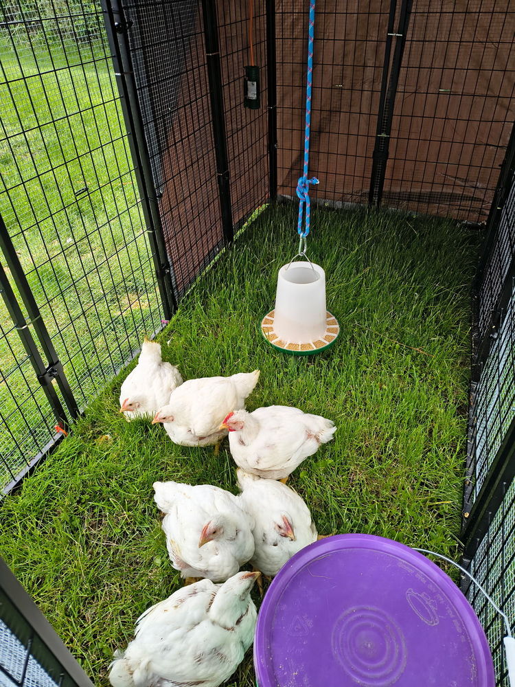Farm to Table 