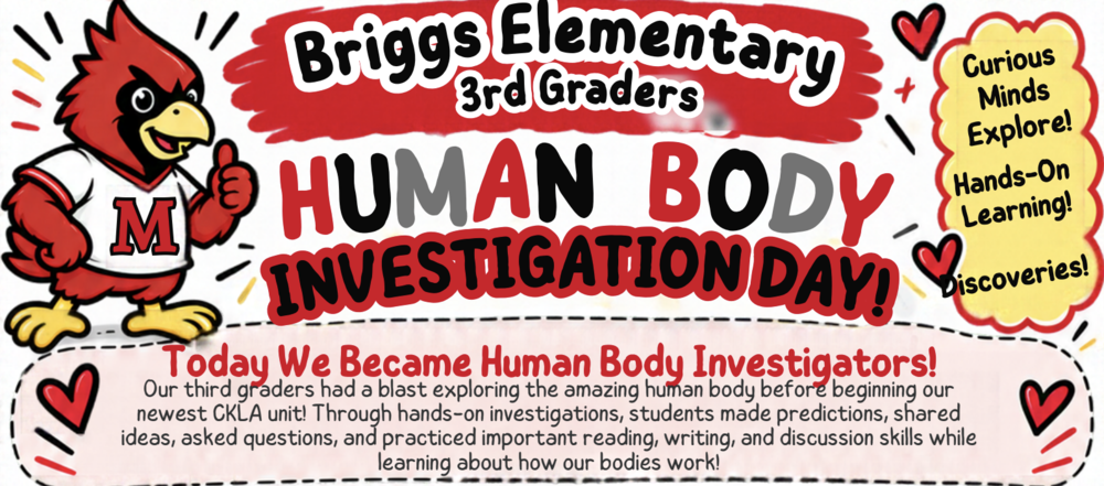 Briggs Human Body